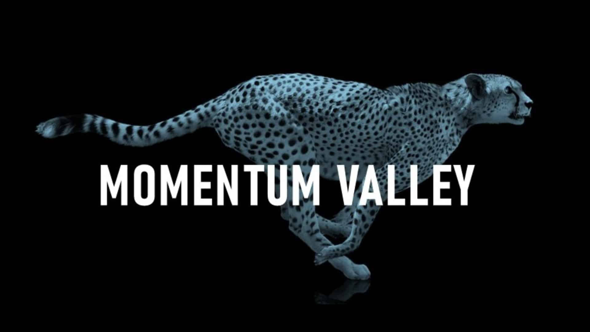 Momentum Valley